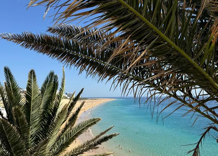 Апартаменты Tortuguero